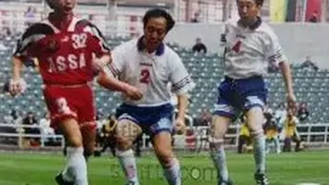 寻梦之旅：守望角落，寻觅家的归属